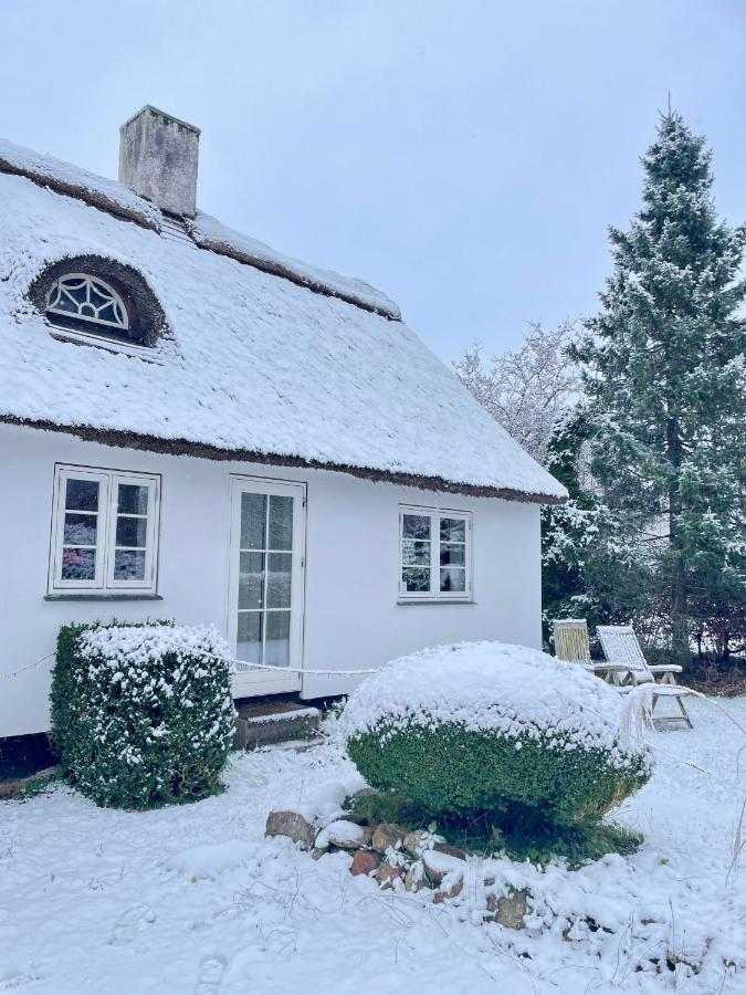 Apple Cottage Vejby Kültér fotó