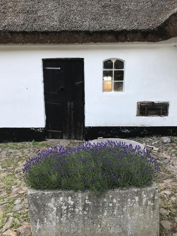 Apple Cottage Vejby Kültér fotó